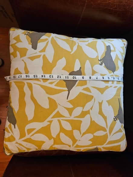 Photo of free put-a-bird-on-it pillow (Roxbury) #2