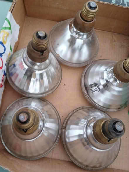 Photo of free incandescent floodlight/heat bulbs (Hurley (loop road off of 209)) #2