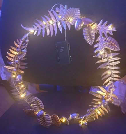 Photo of free Metal Light up Wreath (Clive Vale TN35) #2