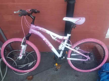 Photo of free Girls mountain bike (Shiregreen s5) #1