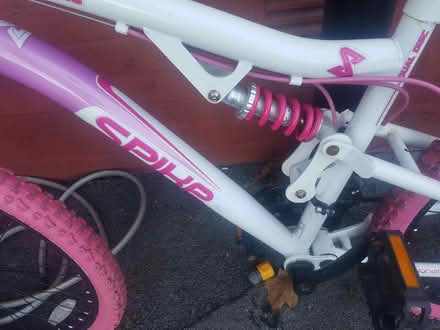 Photo of free Girls mountain bike (Shiregreen s5) #2