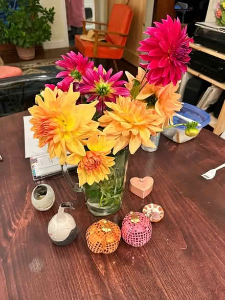 Photo of free Yellow Dahlia bulbs and huge beets (Roxbury) #2