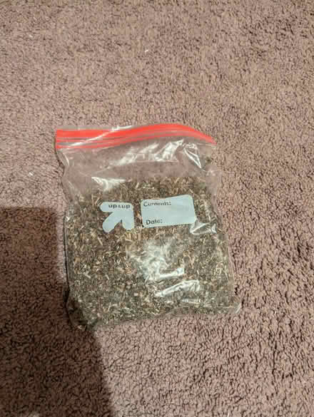 Photo of free Catnip (280/Winchester) #1