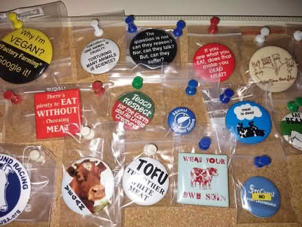 Photo of free Vegan/ Animal Rights Buttons (Sunrise- Welleby) #3