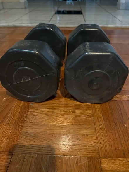 Photo of free 10lb weights (Colts Neck) #1