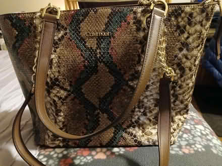 Photo of free Calvin Klein purse (Woburn south) #1