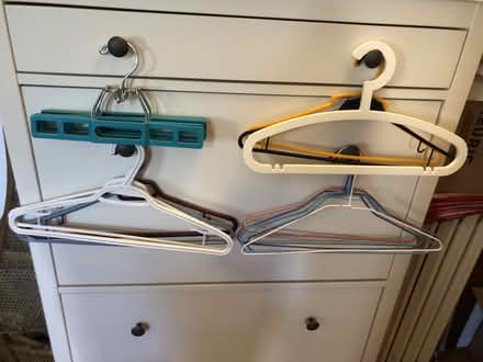 Photo of free hangers (Mimico) #1