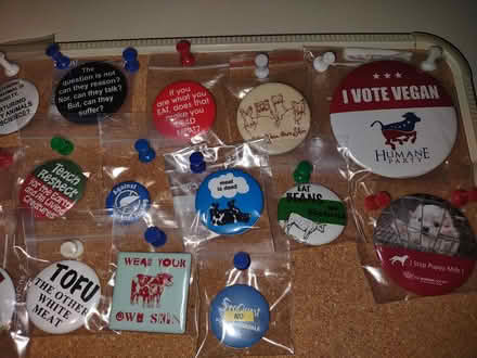 Photo of free Vegan/ Animal Rights Buttons (Sunrise- Welleby) #2