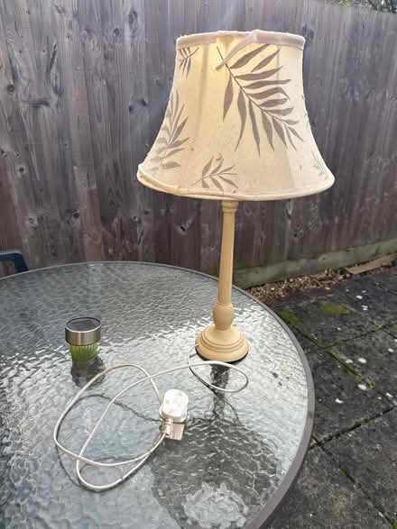 Photo of free Lamp (Eye,) #1