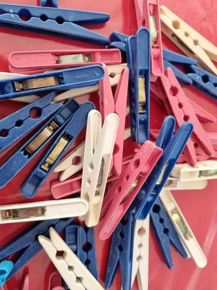 Photo of free plastic pegs (CM2 springfield, chelmsford) #2