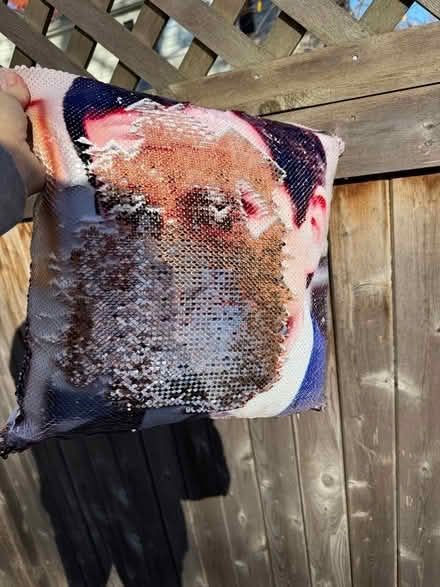 Photo of free Sequined Michael Scott pillow (Newton Highlands south of Rt 9) #2