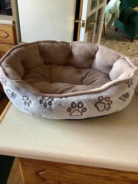 Photo of free Small dog/cat bed (Balerno EH14) #1