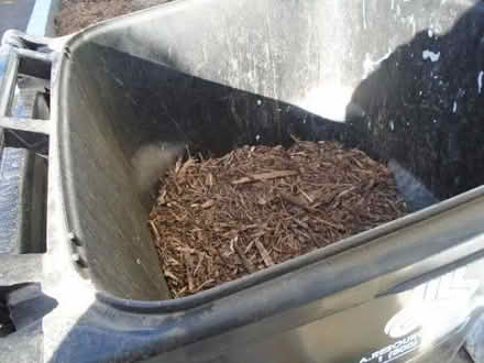 Photo of free Wood Chips (Lake Balboa Haskell) #1