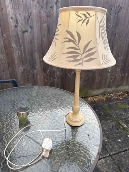 Photo of free Lamp (Eye,) #2