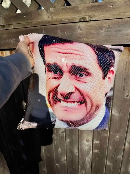 Photo of free Sequined Michael Scott pillow (Newton Highlands south of Rt 9) #1