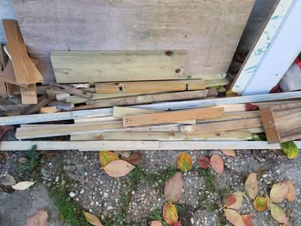 Photo of free Timber / Wood (Clive Vale TN35) #1