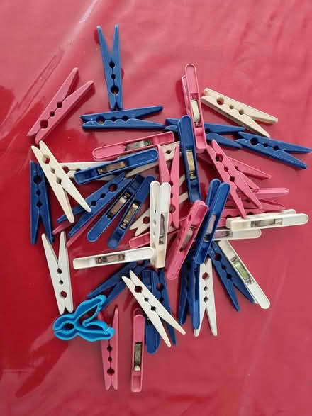 Photo of free plastic pegs (CM2 springfield, chelmsford) #1