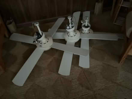 Photo of free 3 Bondi ceiling fans (family home) #1