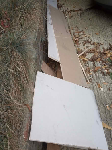 Photo of free Plasterboard (Colchester CO4) #1