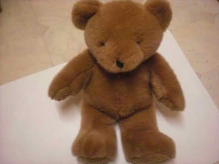 Photo of free Traditional Teddy Bear (Hatch RG24) #1