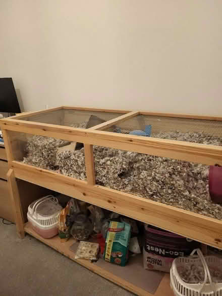 Photo of free Large hamster/gerbil/guinea pig cage (Finchley N2) #1