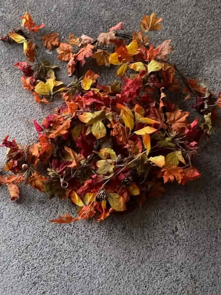 Photo of free 4 fall leaf garlands (Castro Valley, Grove & Foothil) #1