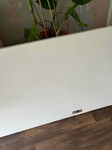 Photo of free Interior door (Heeley S8) #1