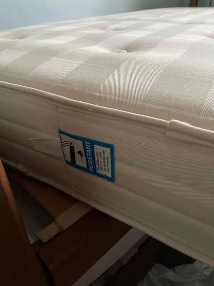 Photo of free Single bed with truckle underneath and two mattresses (Queen's Park BN2) #3