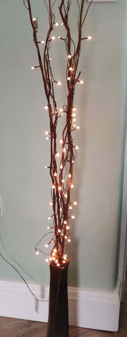 Photo of free Twig lighs warm white (Sale M33) #1