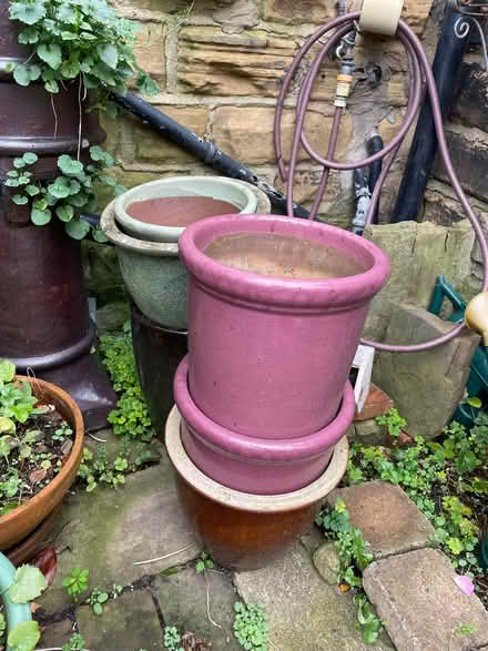 Photo of free Assorted plant pots x6 (Meanwood LS6) #1