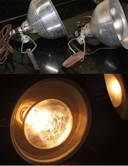 Photo of free Heat Lamps w/Aluminum Clamp Holders (West Townsend) #1