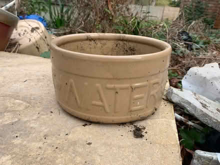 Photo of free Dog bowl or plant pot (Sutton Pools OX14) #1