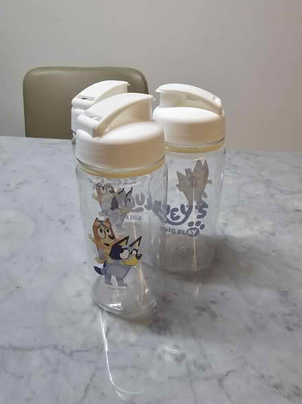 Photo of free Bluey water bottle / ceramic cup (Shunfu Road) #1