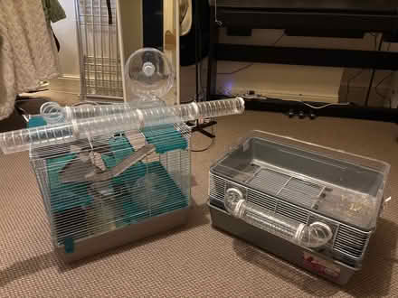 Photo of free 3*hamster cages and accessories (CV32 Leamington Spa) #1