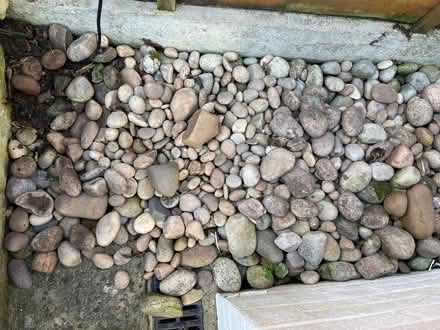 Photo of free Cobblestones (Hutton BS24) #1