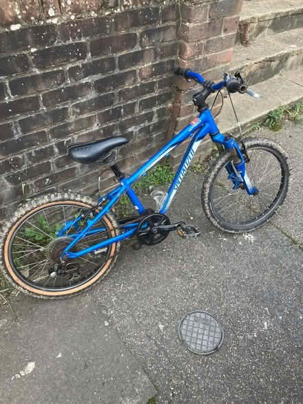 Photo of free Kids bike 16” wheels (Hastings, TN35) #1