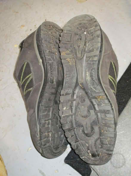 Photo of free Trainers size 7. (Innsworth GL3) #2