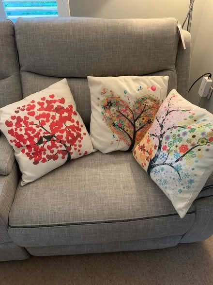 Photo of free 3 cushions (Carlisle Close CO1) #1