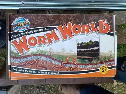 Photo of free Worm world (St Albans drakes drive) #1