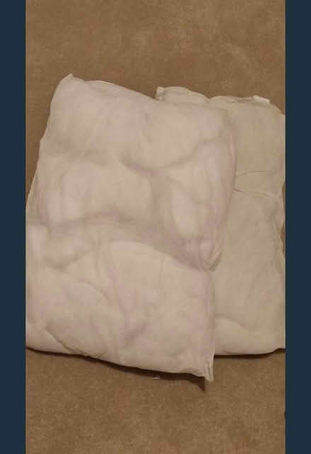 Photo of free 2 pillow inserts (Meadowbank, EH8) #1