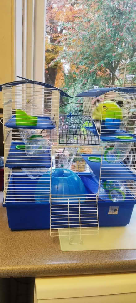 Photo of free Hamster Cage (Sevenoaks TN13) #1