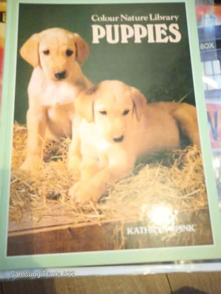 Photo of free Puppy book (Woodhey CH42) #1