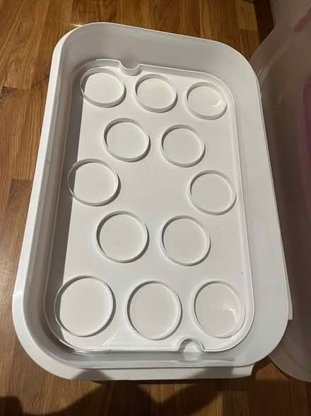 Photo of free Cake container (Horsham) #3