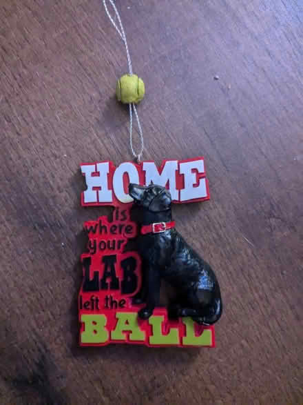 Photo of free Dog Christmas ornament (NRG stadium) #1