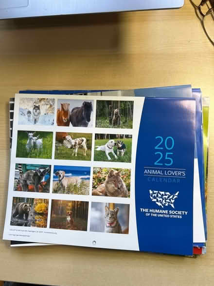 Photo of free 2025 calendars and a crossword (Albany on Solano) #2