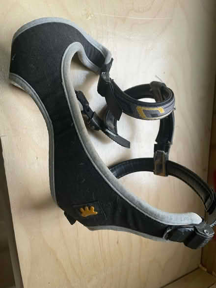 Photo of free Dog harness (Fareham PO14) #2