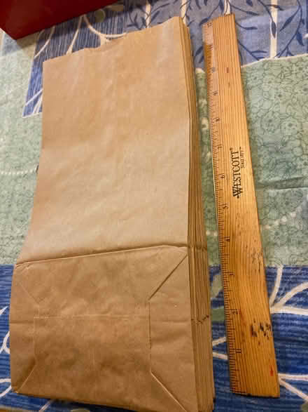 Photo of free 25 lunch bags (East Somerville) #1