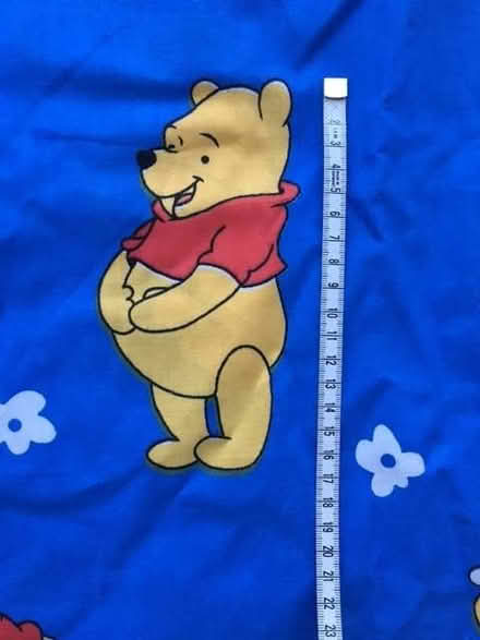 Photo of free Winnie the Pooh fabric (Norfolk Park S2) #2