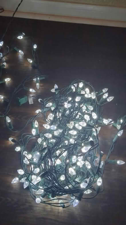 Photo of free LED Christmas lights (NRG stadium) #1