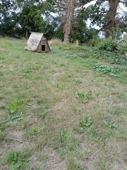 Photo of free Wooden Ark for poultry or pets (Stilton) #1